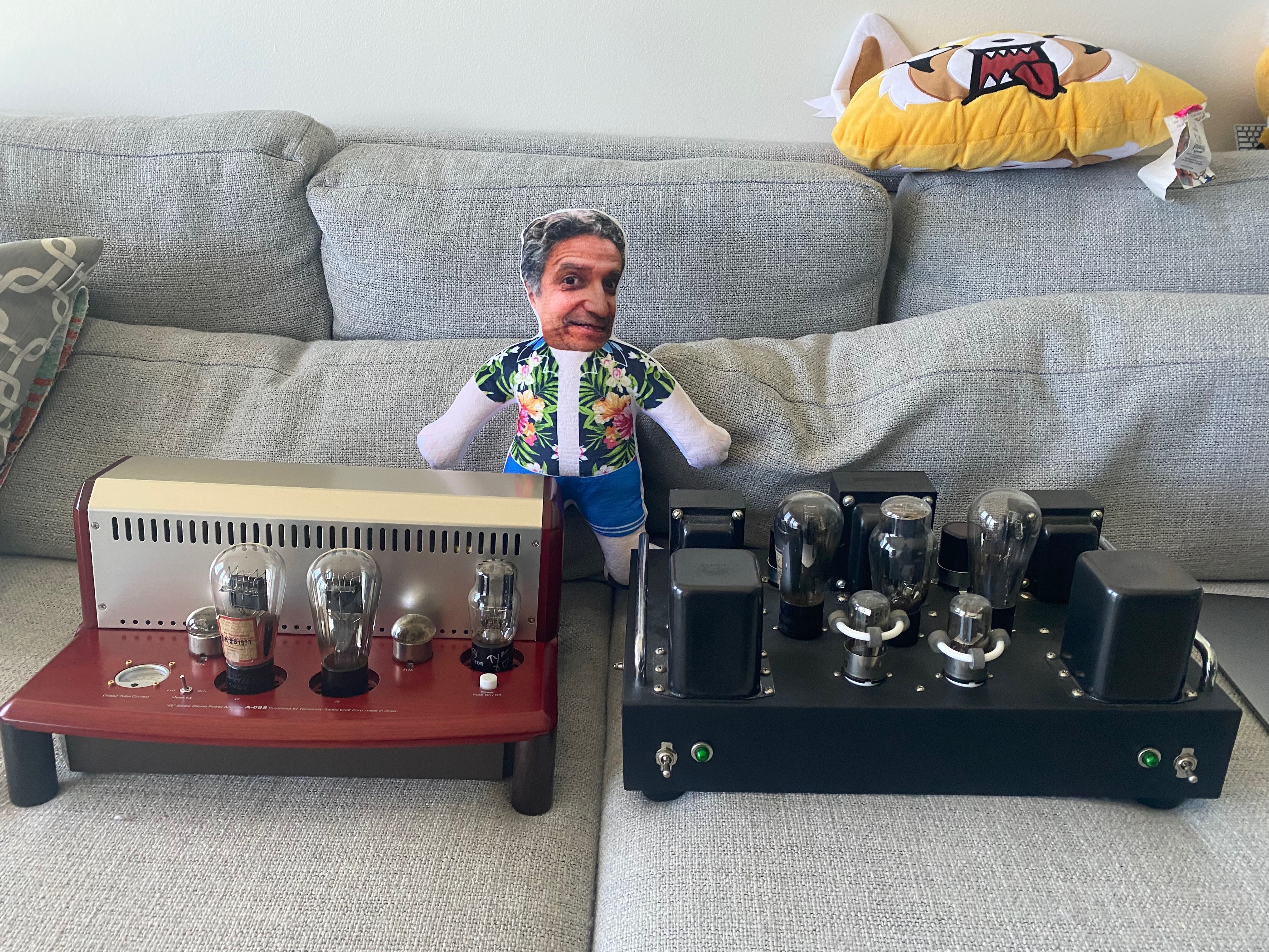 Two 45 SET amplifiers and a friend